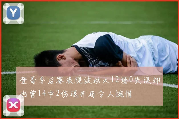 登哥季后赛表现波动大12场0失误却也曾14中2伤退开局令人惋惜